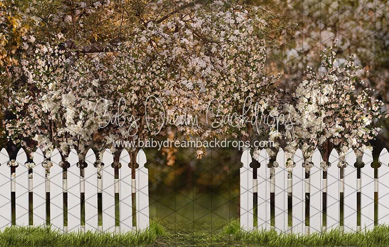 Spring Countryside Fence (JA)