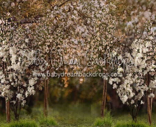 Spring Countryside Forest (JA)