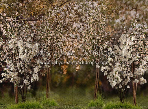 Spring Countryside Forest (JA)