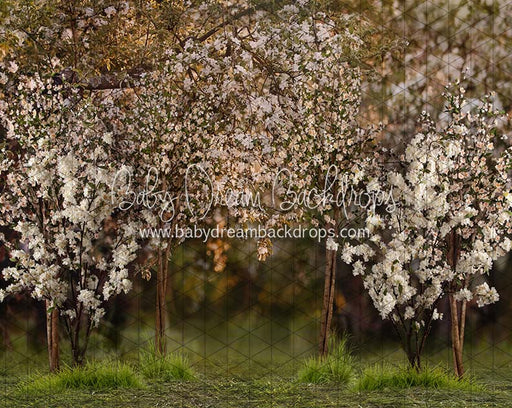 Spring Countryside Forest (JA)