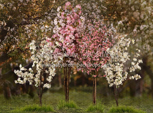 Spring Countryside Forest 2 with Pink (JA)