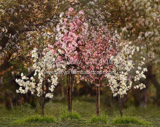 Spring Countryside Forest 2 with Pink (JA)