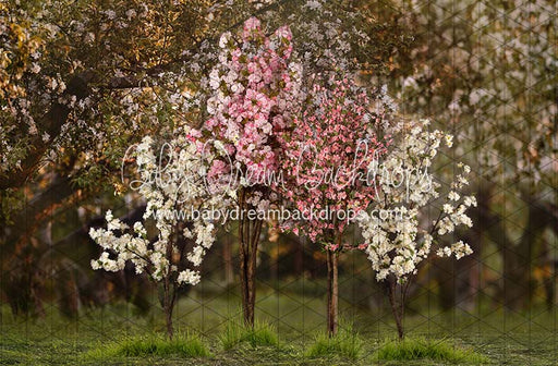 Spring Countryside Forest 2 with Pink (JA)