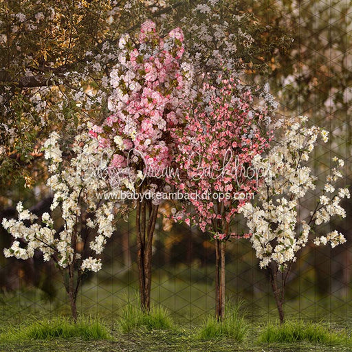 Spring Countryside Forest 2 with Pink (JA)