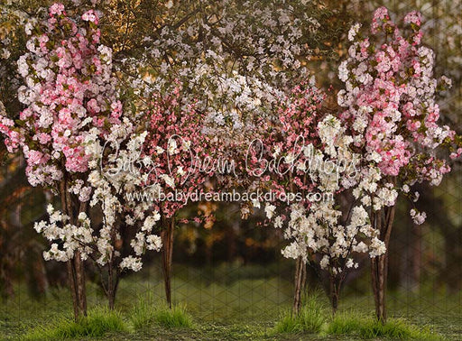 Spring Countryside Forest with Pink (JA)