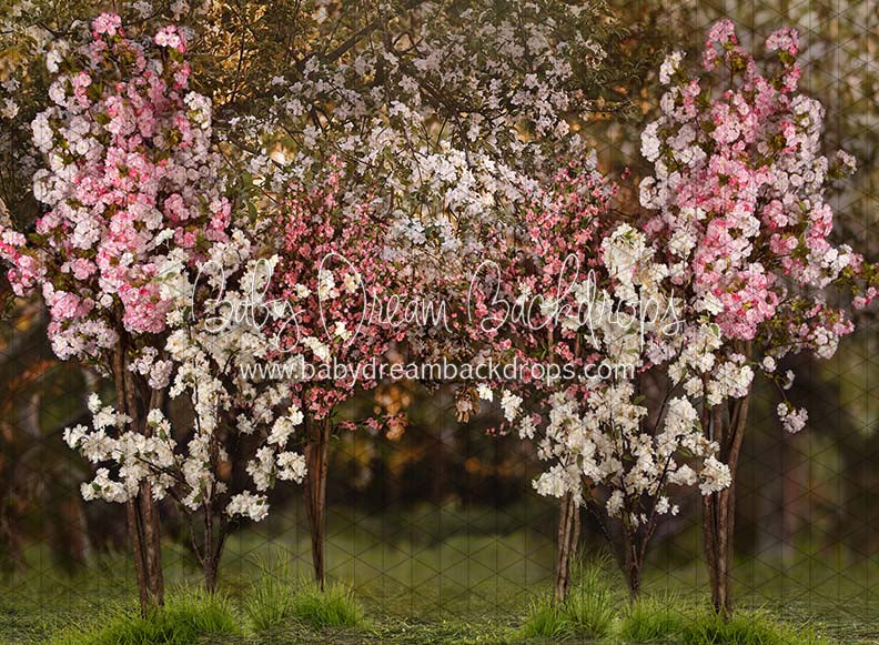 Spring Countryside Forest with Pink (JA)