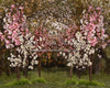 Spring Countryside Forest with Pink (JA)