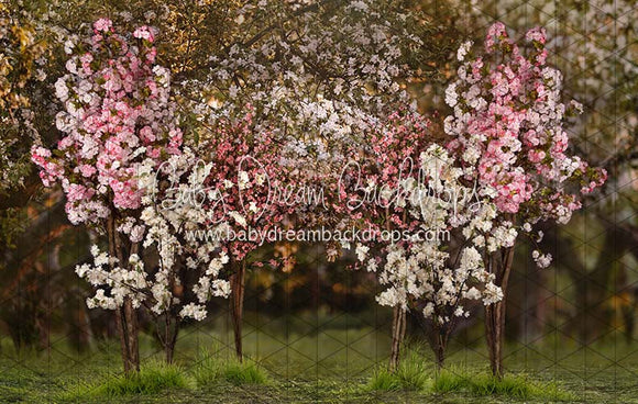 X Drop spring countryside forest with pink ja