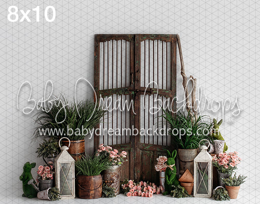 Spring Doorway