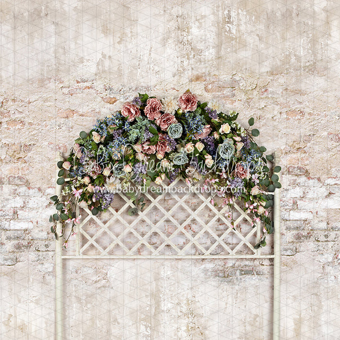 X Drop spring dreamer headboard queen