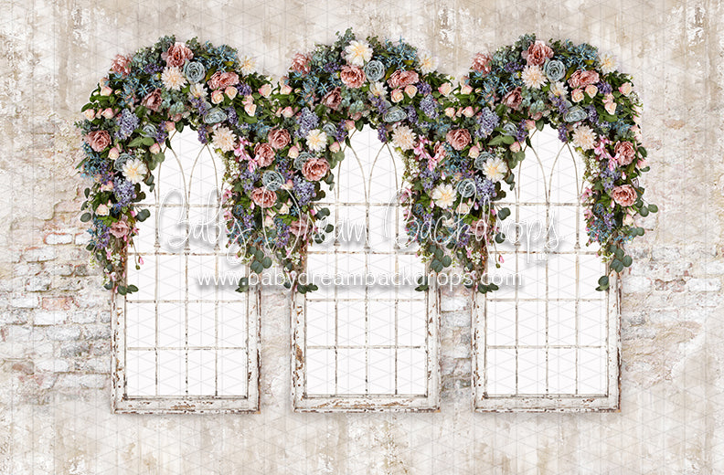 Spring Dreamer Windows