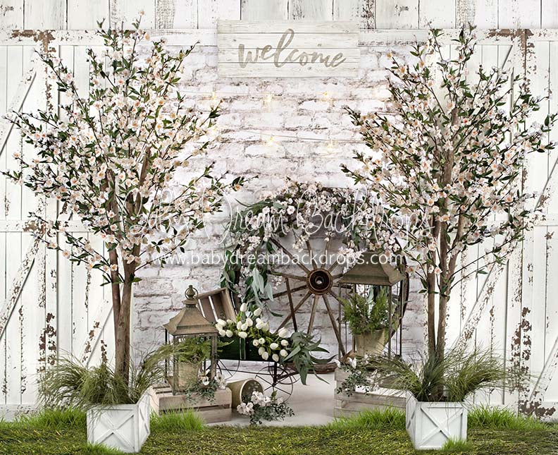 Spring Farm with Grass