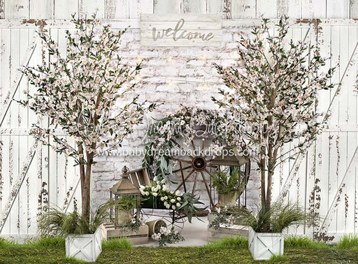 Spring Farm with Grass