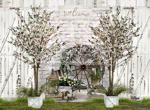 Spring Farm with Grass