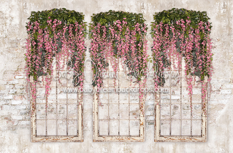 Spring Has Sprung Windows