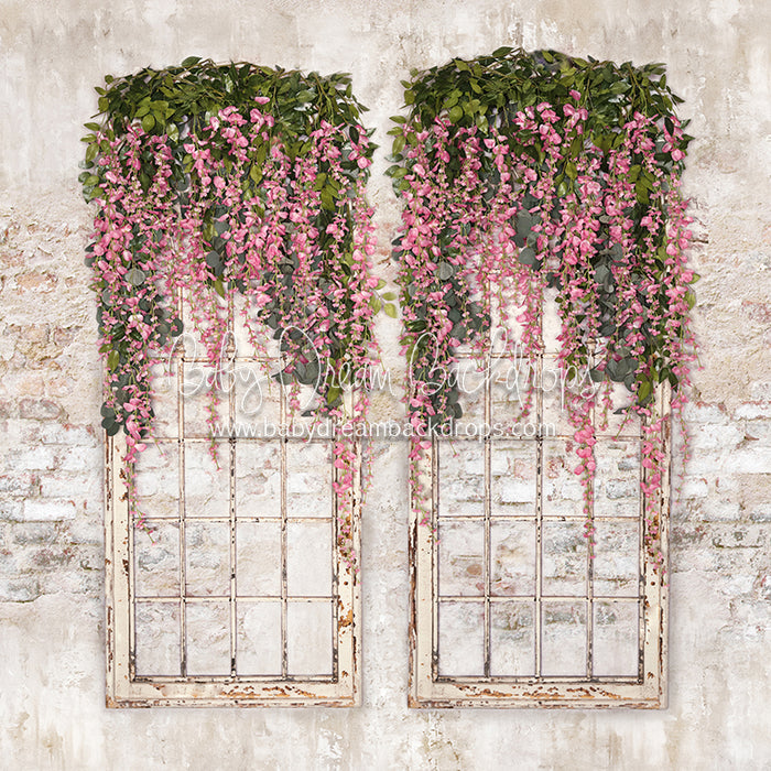 Spring Has Sprung Windows