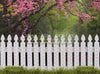 Spring Picket Fence