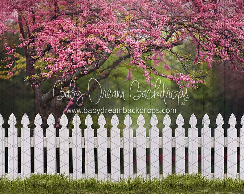 Spring Picket Fence (CC)