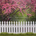 Spring Picket Fence