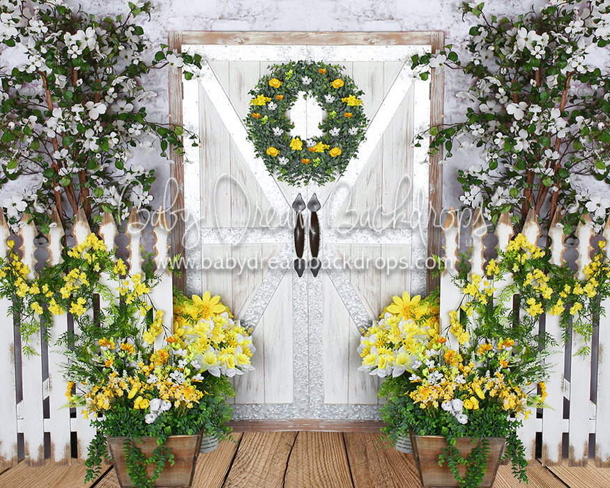 Spring Pickett Blossoms