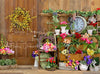 Spring Barn Floral right 6x8 - SD (Premium)