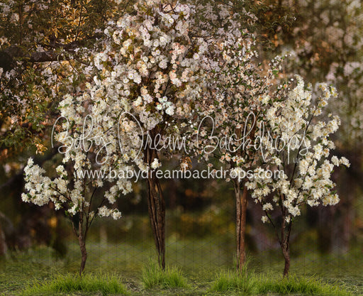 Spring Countryside Forest 2 (JA)