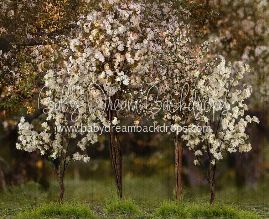 Spring Countryside Forest 2 (JA)