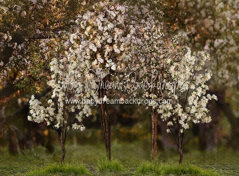 Spring Countryside Forest 2 (JA)