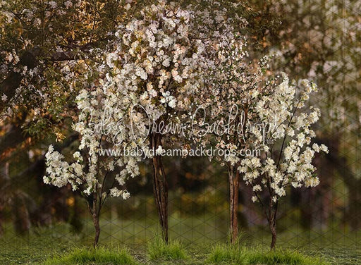 Spring Countryside Forest 2 (JA)