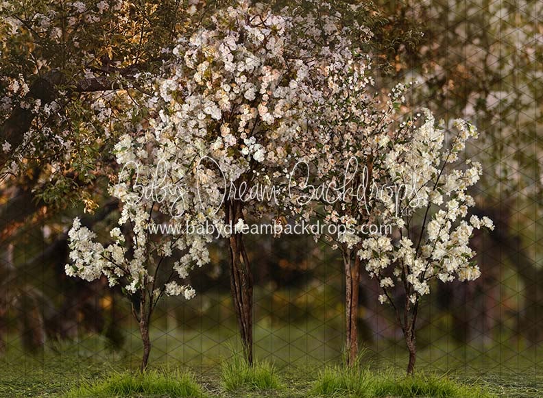 Spring Countryside Forest 2 (JA)