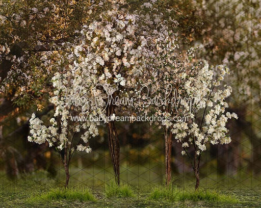 Spring Countryside Forest 2 (JA)