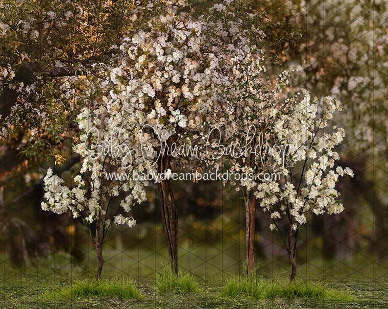 Spring Countryside Forest 2 (JA)