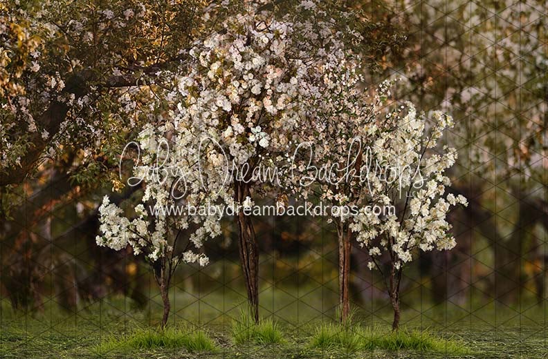 Spring Countryside Forest 2 (JA)