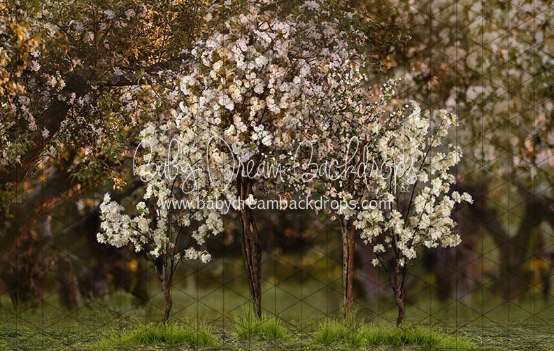 Spring Countryside Forest 2 (JA)