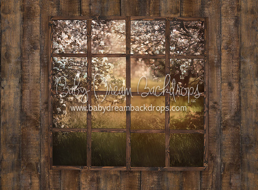 Spring View on Archer - 6x8 - JA  