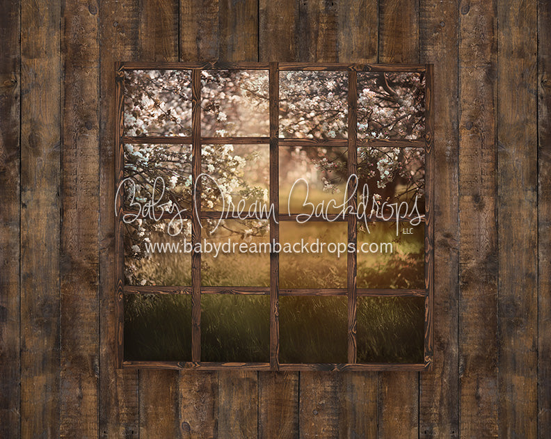 Spring View on Archer