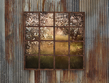 Spring View on Tin - 6x8 - JA  