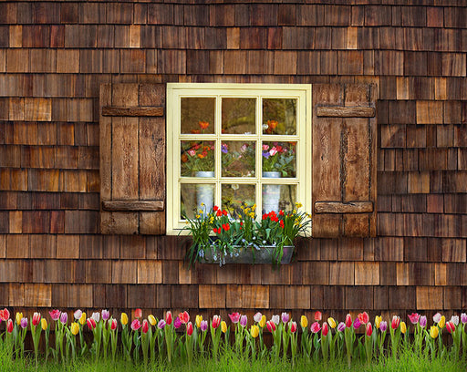 Spring View with Tulips - 8x10 - CC