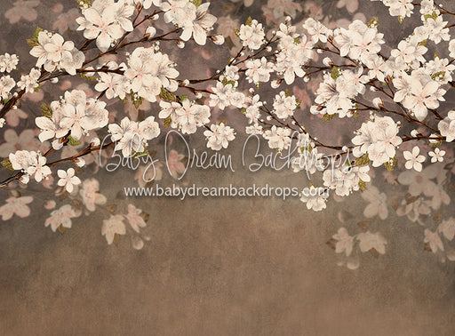 Spring Warmth - 6x8 - CC  