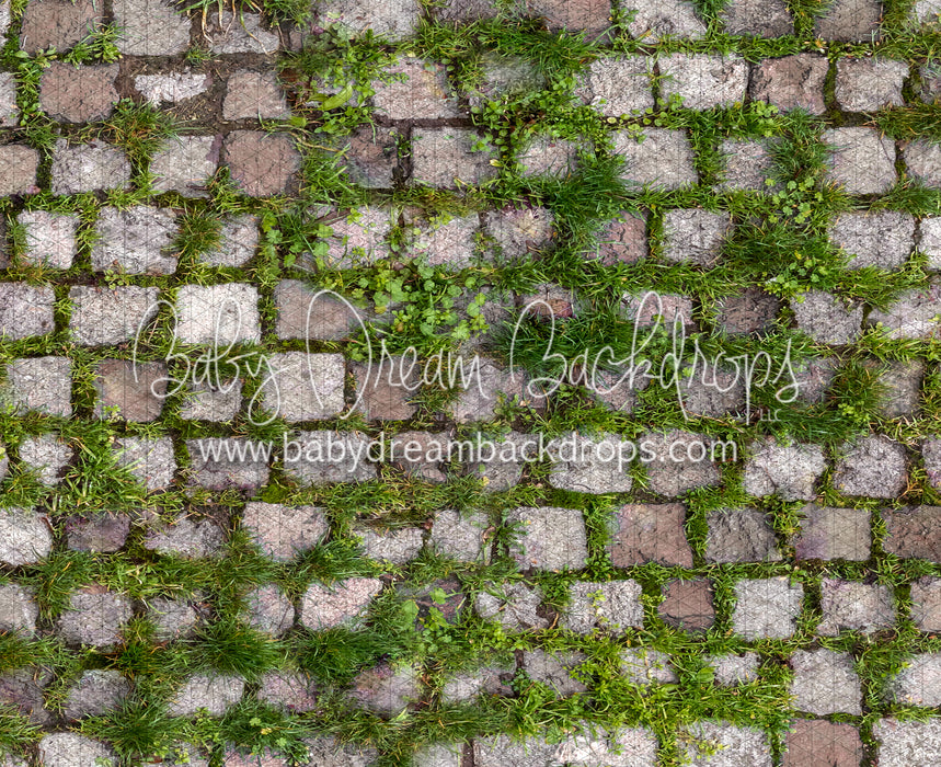 Springtime Stones (CC)