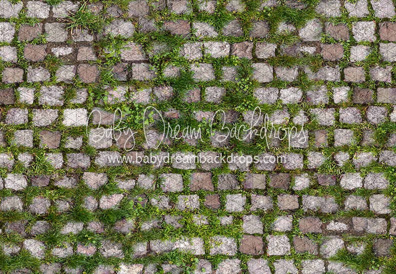 Springtime Stones Floor (CC)