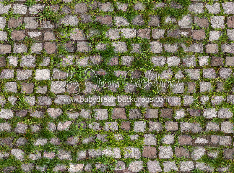 Springtime Stones (CC)