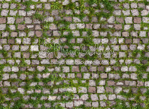 Springtime Stones (CC)