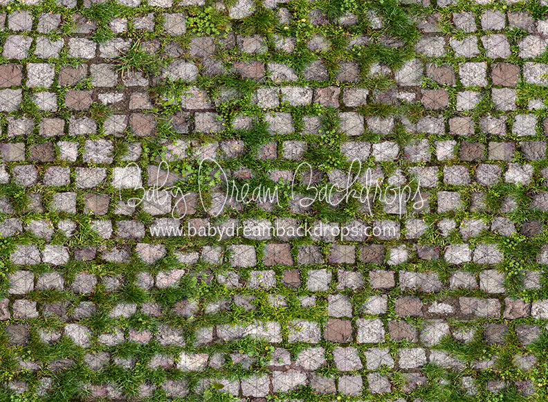 Springtime Stones (CC)