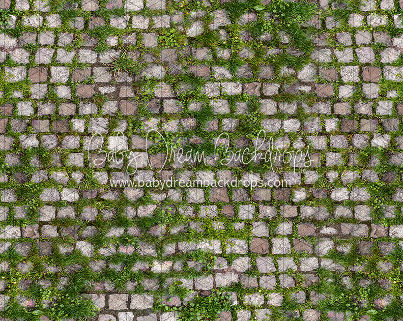 Springtime Stones Floor (CC)