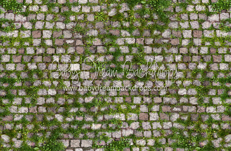 Springtime Stones (CC)