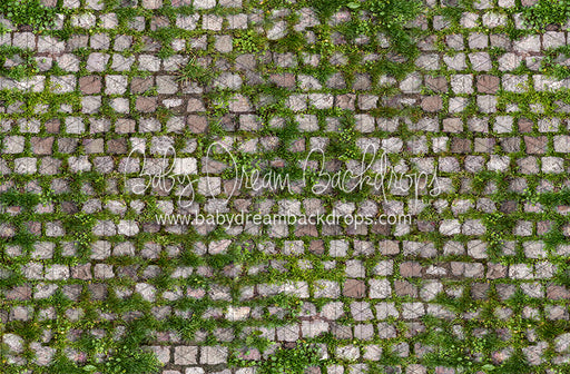 Springtime Stones Floor (CC)