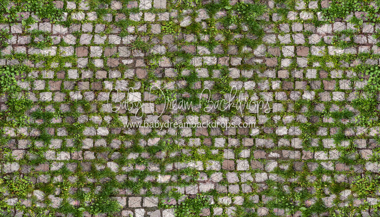 Springtime Stones (CC)