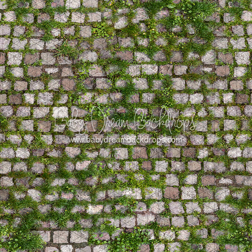 Springtime Stones Floor (CC)