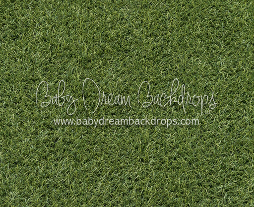 Stadium Turf (CC)